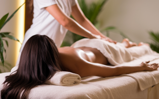 silhouette-table-massage-spa-plantes